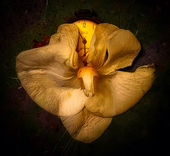 We’re proud to announce that DJ Savarese, the brilliant advocate and poet featured in 'Deej,' has been nominated for a prestigious Pushcart Prize for his impactful poem "Our Lungs Again"!  #PushcartPrizeNominee #OurLungsAgain #DeejFilm  #InclusiveArtistry #DJ_Savarese #PushCart