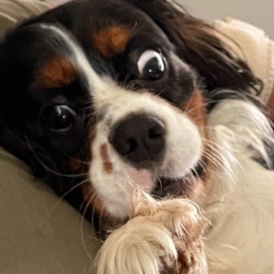 Grape8isback tweet media