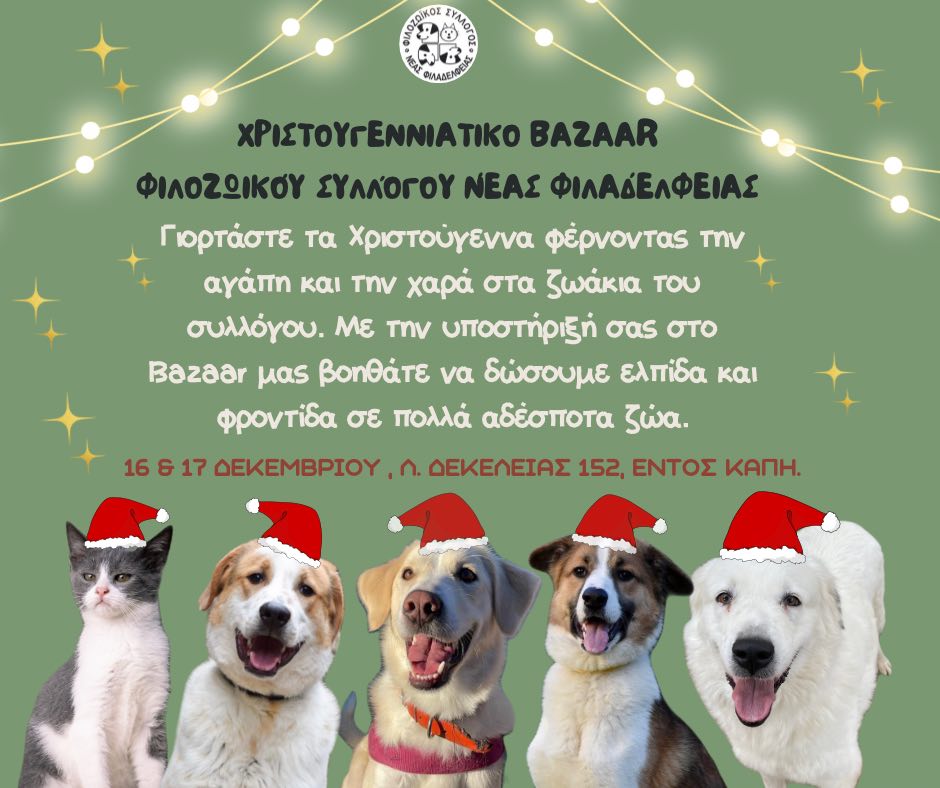 Filozoikos_nf's tweet photo. Προσμένοντας τα Χριστούγεννα !!📷
Σας προσκαλούμε στο ετήσιο χριστουγεννιάτικο μπαζάρ μας !!
Το χριστουγεννιάτικο παζάρι μας θα γίνει στις 16 &amp;17 Δεκεμβρίου από τις 10.30 το πρωί μέχρι 9.00 το βράδυ στο χώρο του ��ΑΠΗ επί της Λεωφόρου Δεκελείας 152. https://t.co/5b0662x0hD