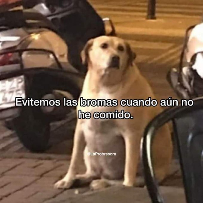 Porfa y mas si es inicio de semana #lunes https://t.co/LxA9DyYlEb<a href="/tag/lunes"class="tags">#lunes</a>