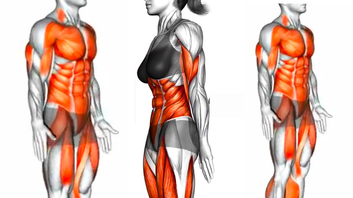 WORKOUTFOREVE's tweet photo. 20 Min Full Body HIIT Workout  At Home https://t.co/0IFmdvVWDc via @YouTube https://t.co/NTAr6stFBO