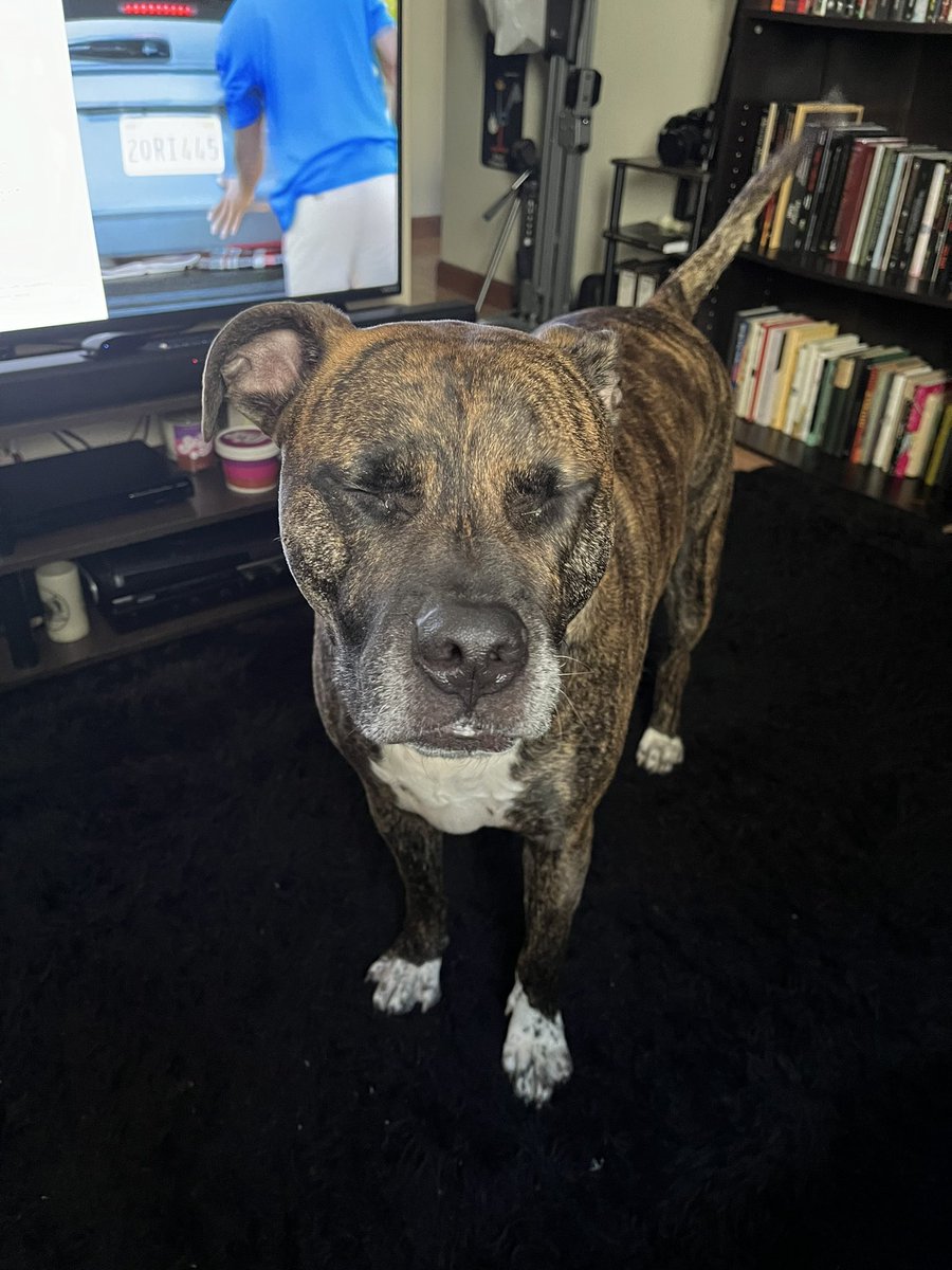 Angie Frissore tweet media