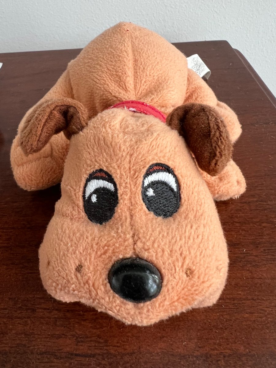AlexOngOfficial's tweet photo. Years ago’s Cutie 🥰…
#Cutie
#AsNew
#Toy
#Holidays
#SoftToy https://t.co/gVCcB4hUkd
