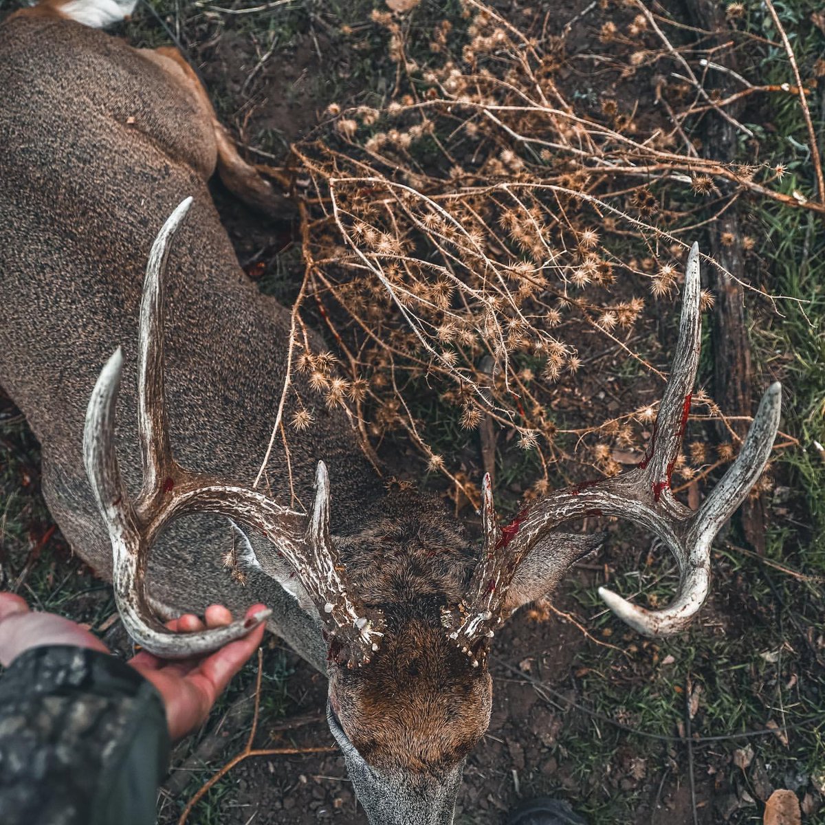 Gotta love that first glance. 

📷️: @_11thhourproductions_
#NomadOutdoor | #GearThatHunts