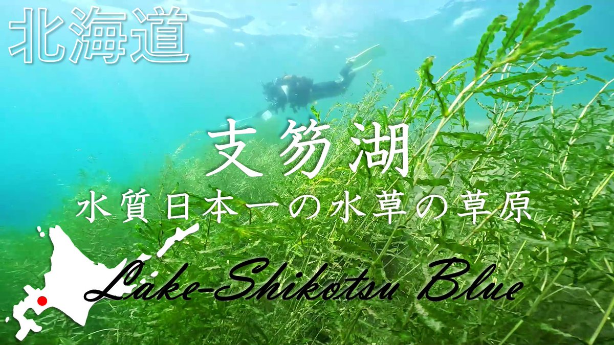 SeiryuTravels's tweet photo. 【北海道 ダイビング】水質日本一の実力！！支笏湖の水草の草原が綺麗すぎる
https://t.co/ED1IDAGWTh

湖に潜ってみたかったので潜ってきました。
水草や流木、色の変化や水温の変化など、海ではできないいろいろな体験ができて楽しかったです。

#北海道 #ダイビング #支笏湖 #水中映像 https://t.co/gB36Cc95OO