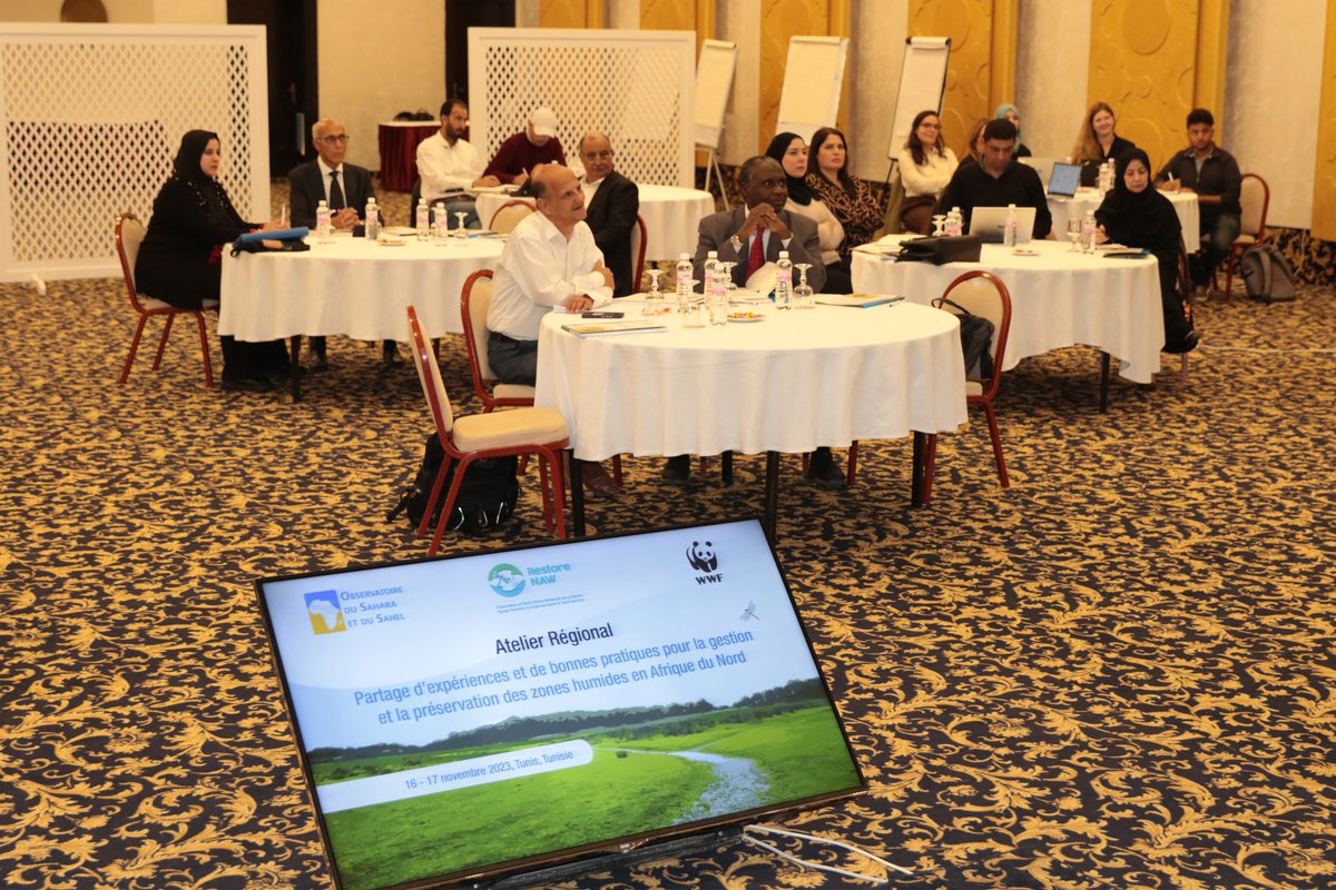 OURMEDPROJECT's tweet photo. 🌍 @OurMED project showcased at "Restore NAW" workshop in Tunis! Partners from North Africa discussed wetland restoration's role in water and food security. Hosted by @OSS_Comms with @WWFNA, experts & stakeholders convened for vital exchanges.
#OurMEDProject #RestoreNAW https://t.co/dsh2gMM2ep