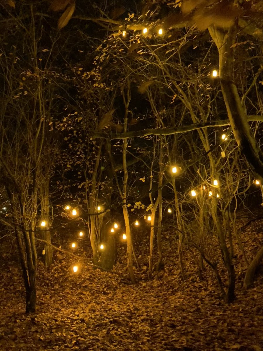 A fab evening at Aglow <a href="/aucklandproject/">The Auckland Project</a> Twas super festive, super sparkly, super fun! LOVED it.