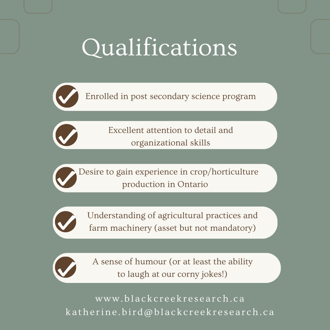 BlackCreek Research is excited to be hiring for summer 2024! If you know someone that would be a good addition to our team, send them our way. 

Retweets appreciated!

#ontag