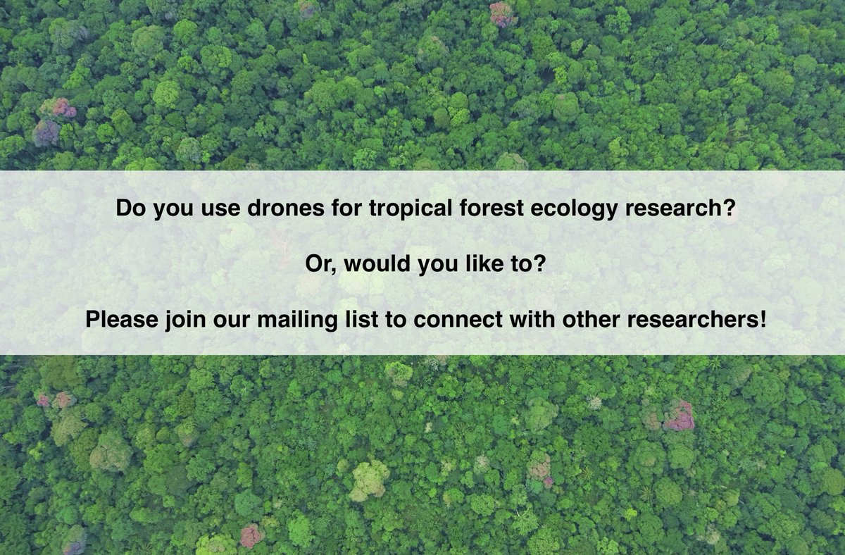 Attention tropical forest #drone #remotesensing people! 🌴🚨🌳🛰️ We are organizing a working group through the Alliance for Tropical Forest Science (ATFS) to share experiences and facilitate cross-site studies. Interested? Join here: forms.office.com/g/3yPDrJfDth Please RT!