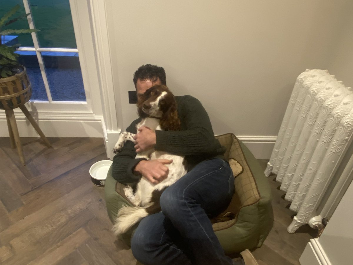 chump_dog's tweet photo. No Hoomans on the bed. https://t.co/FqCMq7LU5u