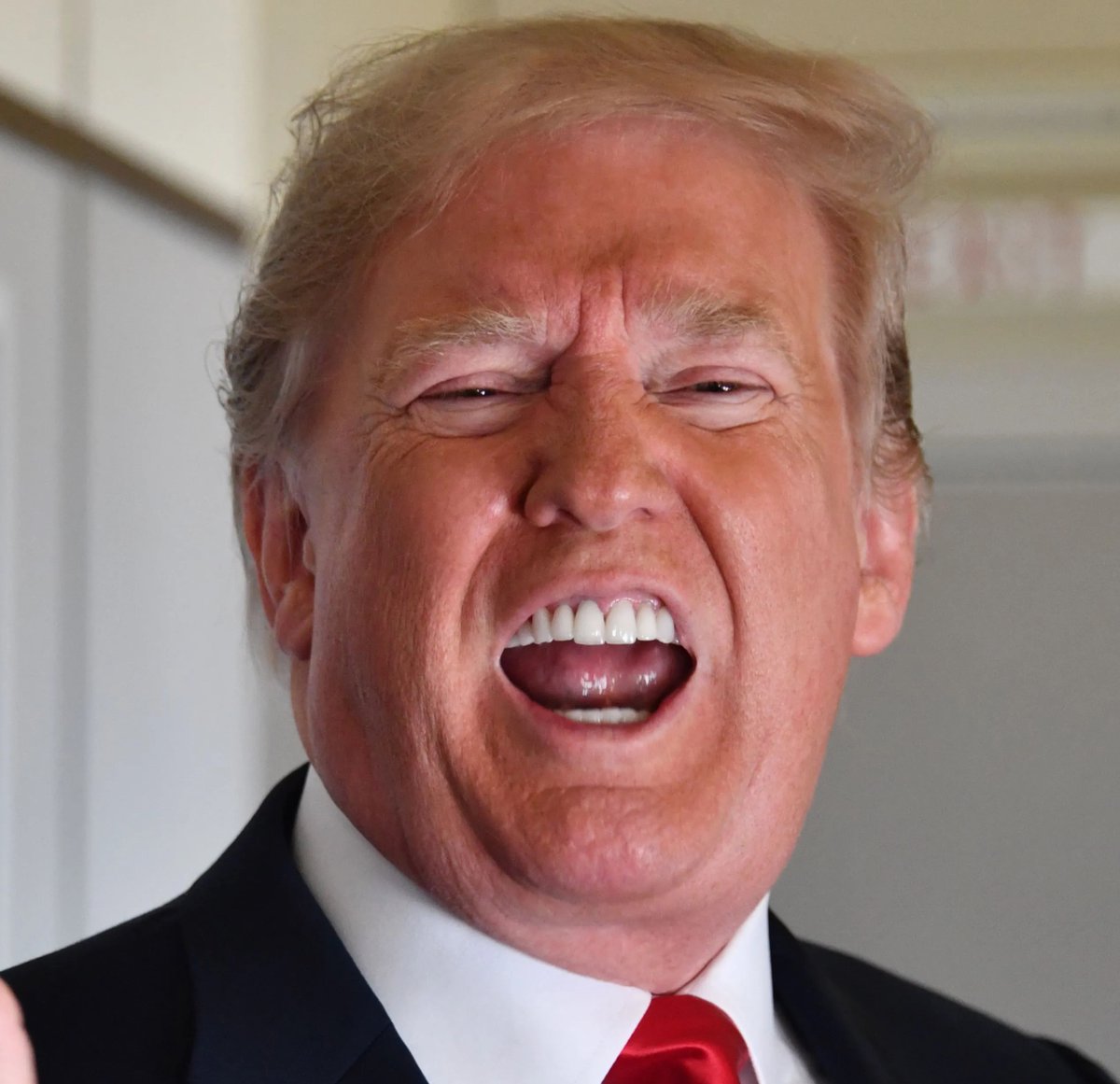 OccupyDemocrats's tweet photo. BREAKING: Donald Trump unleashes a deranged rant attempting to prove that he's not in cognitive decline despite the mounting evidence — and succeeds only in proving that his mind is rotting.

This man is deeply unwell...

In a rambling Truth Social post, Trump claimed that he has "sarcastically" inserted the names "Biden or Obama" into his speeches as an "indication that others may actually be having a very big influence in running our Country."

In reality, Trump has repeatedly grown confused at rallies. Sometimes he thinks he beat Obama in 2016, sometimes he thinks Obama is currently the president, and sometimes he doesn't seem to know who Joe Biden is. 

The repeated errors have drawn increasing media scrutiny, with many expert commentators speculating that the 77-year-old Trump is suffering some kind of mental deterioration — perhaps even displaying early signs of dementia.

In his post, Trump insisted that these name mixups are being exploited by "Ron DeSanctimonious and his failing campaign apparatus" as well as the "Democrat’s Radical Left “'Disinformation Machine'" to claim that he is "cognitively impaired."

"No, I know both names very well, never mix them up, and know that they are destroying our Country," lied Trump.

"Also, and as reported, I just took a cognitive test as part of my Physical Exam, and ACED it. Also ACED (a perfect score!) one taken while in the White House," he went on.

Readers will recall that Trump was widely mocked for touting the incredibly simple and easy-to-pass cognitive test. He infamously bragged about being able to remember the string of words: "Person, woman, man, camera, TV."

Trump went on to argue that "Biden should take one" and then rambled off a bunch of false Republican talking points about the historically successful Biden administration.

To everyone not in the MAGA cult, it's now clear that Trump's mind is falling apart — and he didn't have much of one to begin with. 

This man cannot be allowed back in the White house.

Please retweet and ❤️ if you think that Trump is in serious cognitive decline — and consider joining the growing exodus to Tribel, a new pro-democracy social network that is exploding in popularity because Twitter and Facebook are trying to stop its growth — which is only making Tribel grow even faster. Please follow us on Tribel to get all of our breaking news alerts sent straight to your phone or computer by clicking the following link: https://t.co/HnJzSKj4Hp