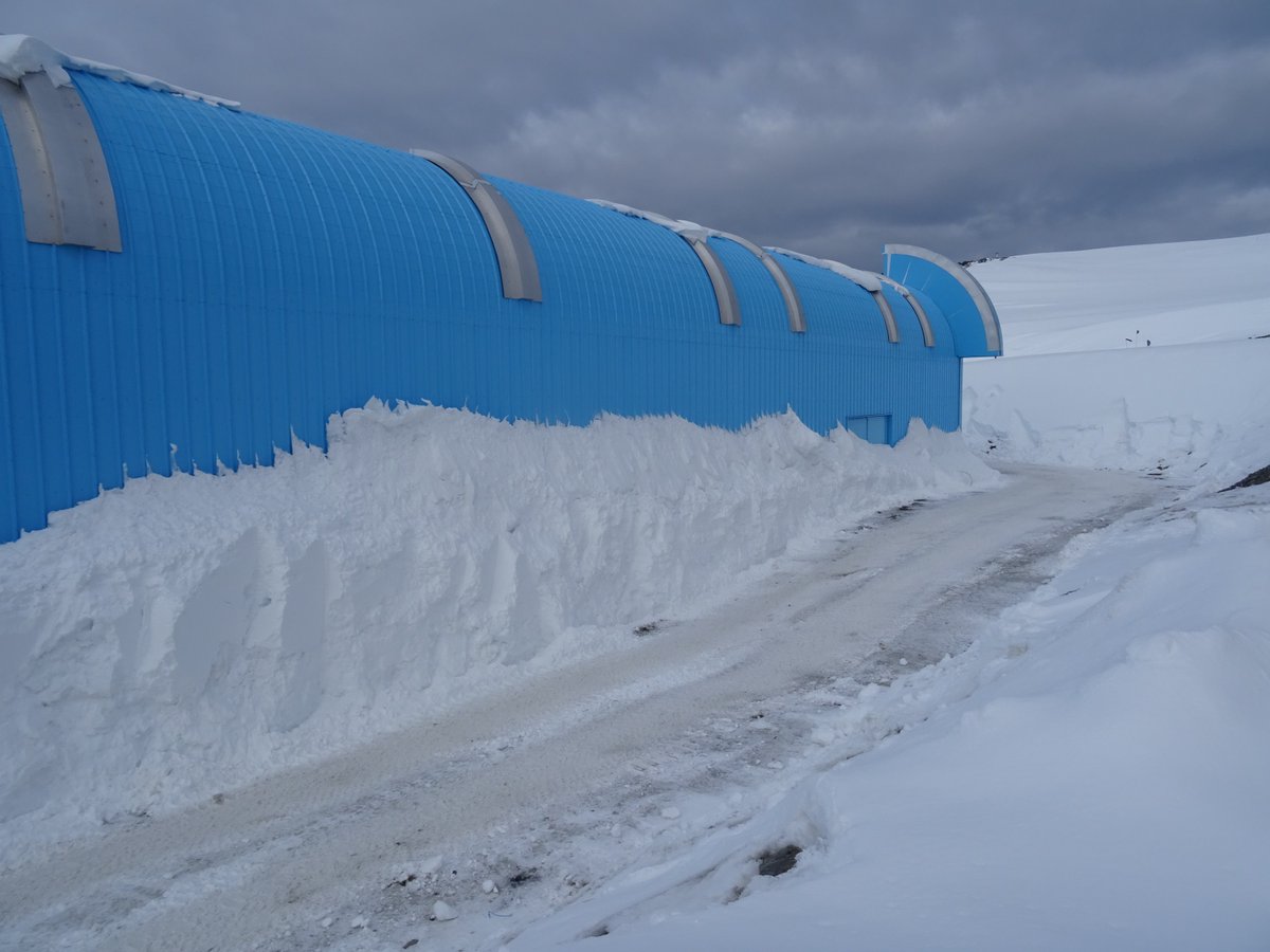 British Antarctic Survey 🐧 tweet media