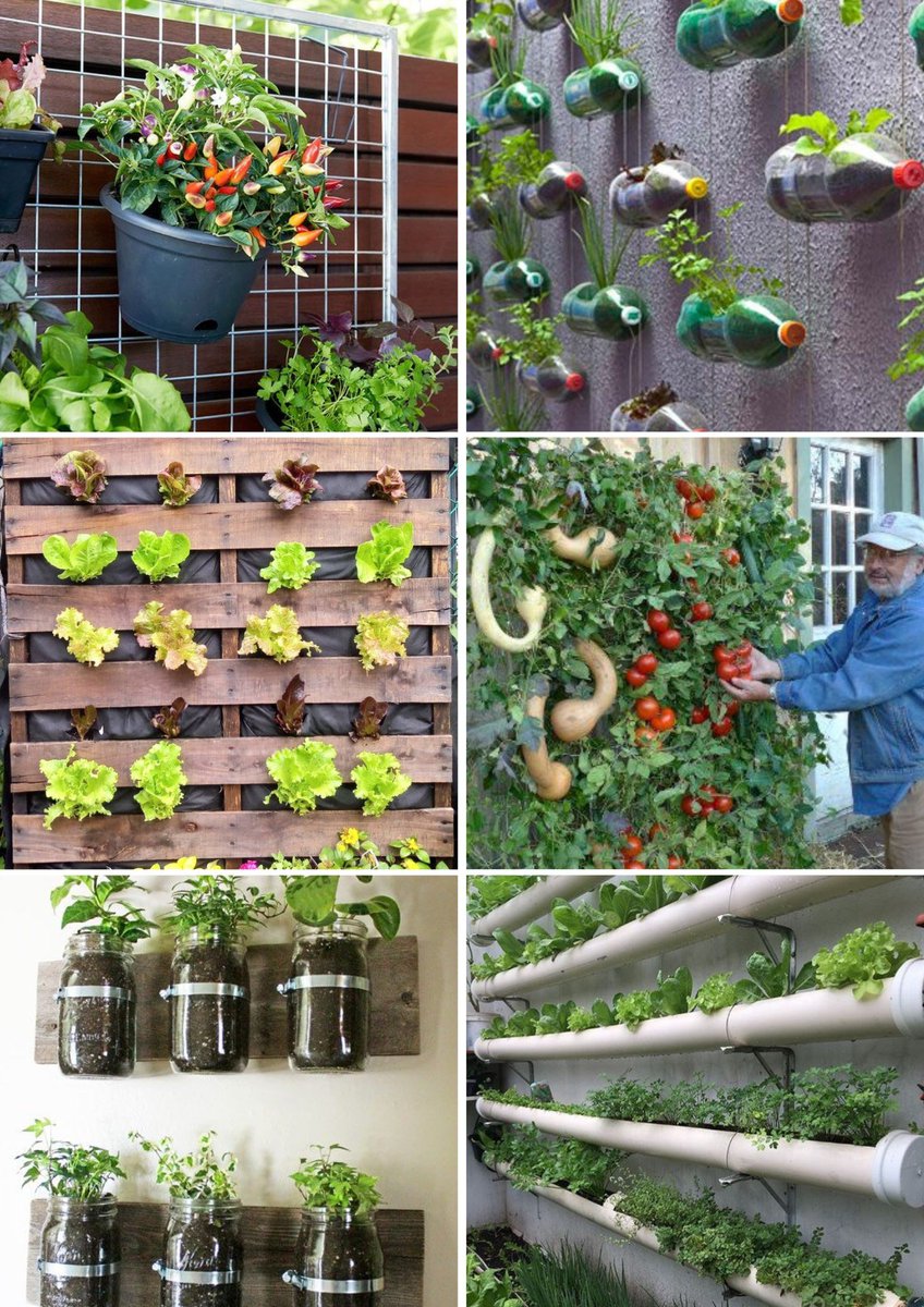 WorldlyHQ's tweet photo. Wall Garden Planter Ideas For Vertical Gardening💬👇 https://t.co/Hn7A89w0ks