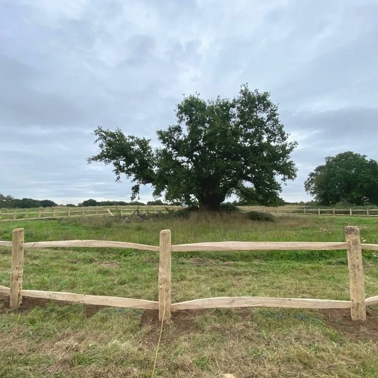 Croome NationalTrust tweet media