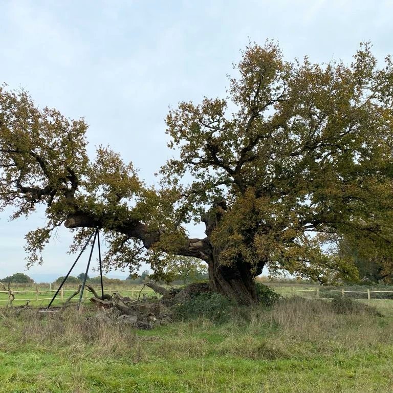 Croome NationalTrust tweet media