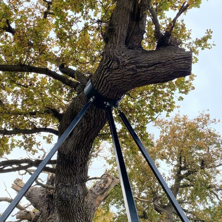 Croome NationalTrust tweet media