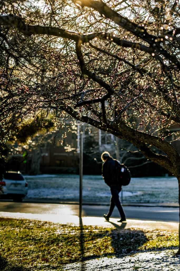 Mizzou (@mizzou) on Twitter photo Welcome back Tigers! ๐ฏ
Finish the semester strong, and don't forget to bundle up for those colder temps out there. โ๏ธ๐งฃ Welcome back Tigers! ๐ฏ
Finish the semester strong, and don't forget to bundle up for those colder temps out there. โ๏ธ๐งฃ