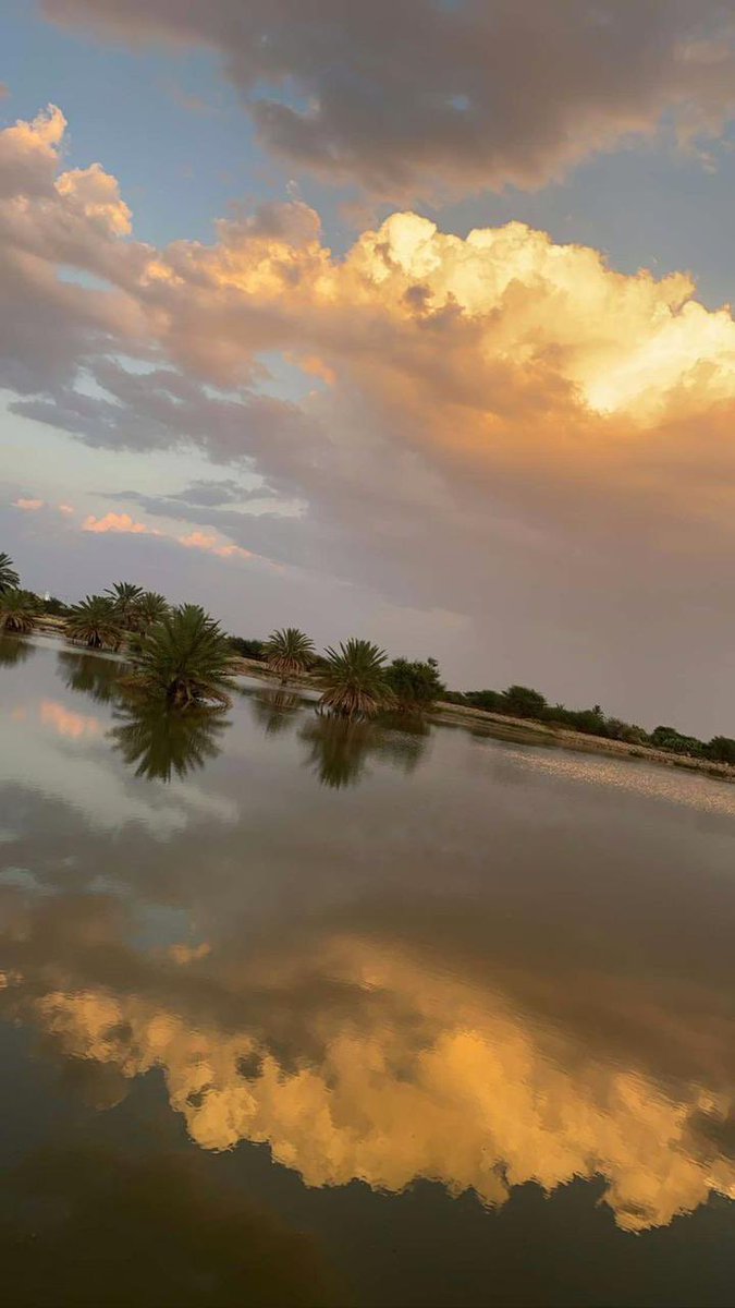 Batal_13's tweet photo. ابوي في جـوده ما يحتـاج  تبجـيل 
اللـه يعــظـم عــند ربـي ثــوآآبـــه 
:
يعطي ولا يحسب حساب المقابيل
وياخذ ( ونعم ) بطيب ماهي نهابـه  
: 
حتى النخّل حطه بعرضْ المخاييل
من جود كَفه غارسه فــ السحـابـه https://t.co/ovhvfIqnF4