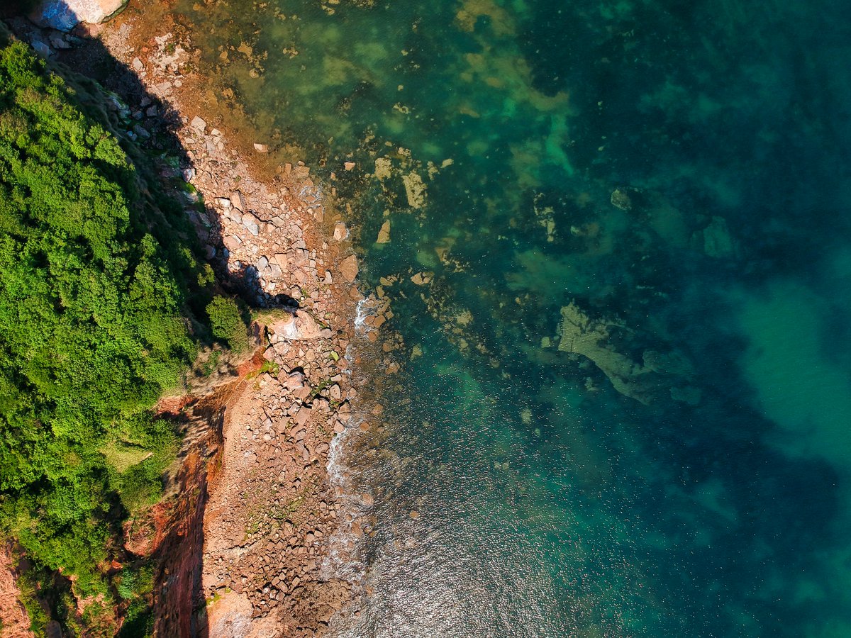 Deoxygenation levels similar to today’s played a key role in marine extinctions during a major past climate change event, according to new @TCD_NatSci research led by Prof. @micharuhl that underlines the fragility of marine ecosystems. Read more at: tcd.ie/news_events/ar…