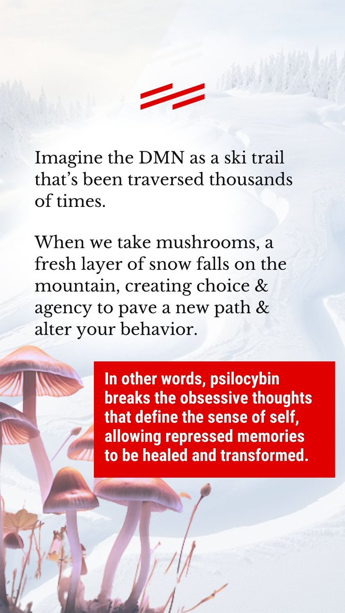 thirdwaveishere's tweet photo. 🍄Scientific studies indicate #psilocybin mushrooms’ potential in alleviating #anxiety, #depression &amp; #PTSD. Ready to optimize your mental well-being?
#CyberMonday get 25% off Third Wave’s Mushroom Grow Kit; use code “cybermonday25" at checkout: https://t.co/qTGiLMXbI4 https://t.co/0cOEskOPPw