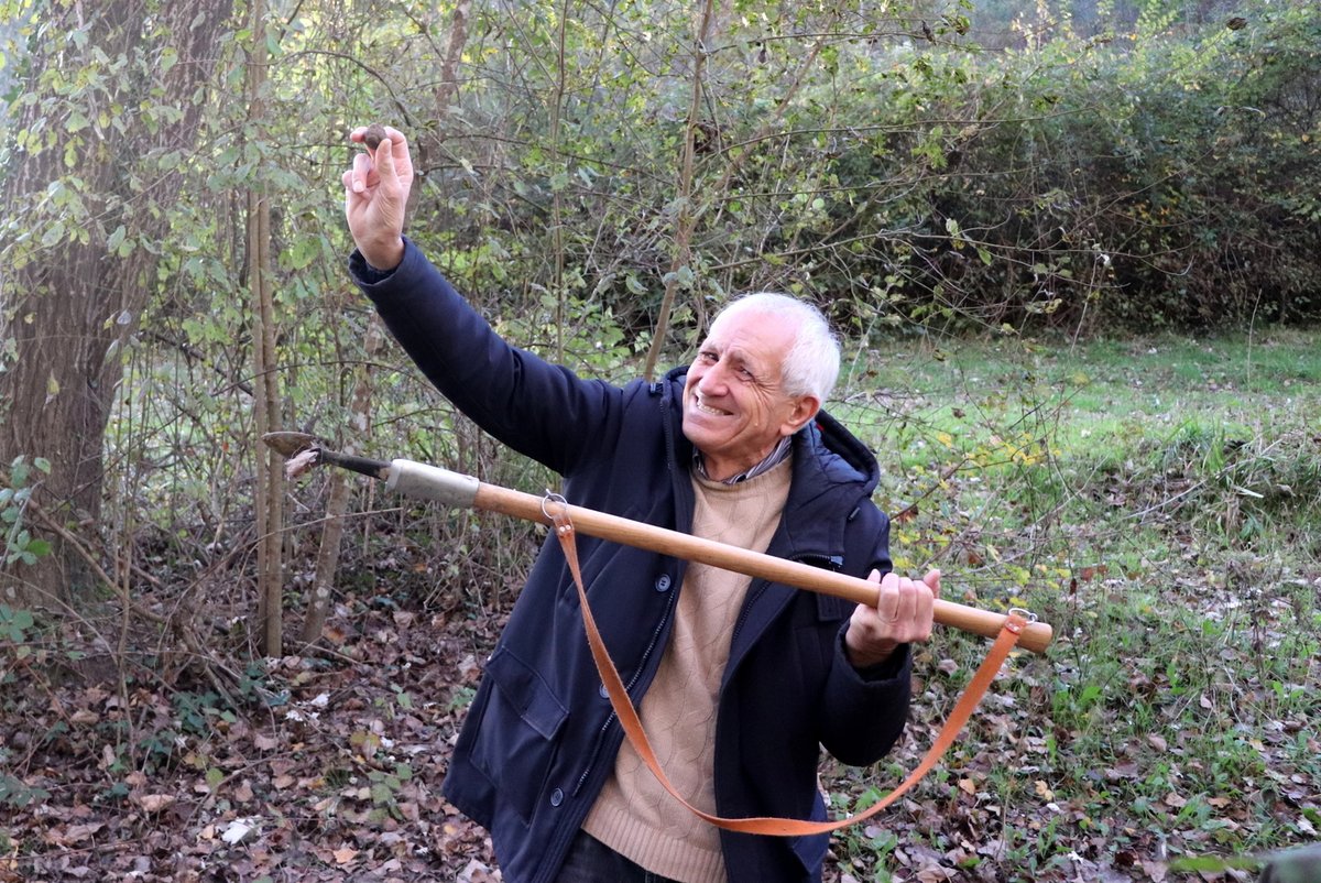 robertoippolito's tweet photo. Ambasciatore del tartufo di San Miniato nel mondo
Proclamato per impegno “elevato interesse civile etico letterario” “da anni alla Mostra tartufo in qualità di scrittore” teso “a portare la cultura tra la gente”, “sempre alla ricerca ostinata della verità”
https://t.co/5KRyROrolN https://t.co/WYS7m9fkdd