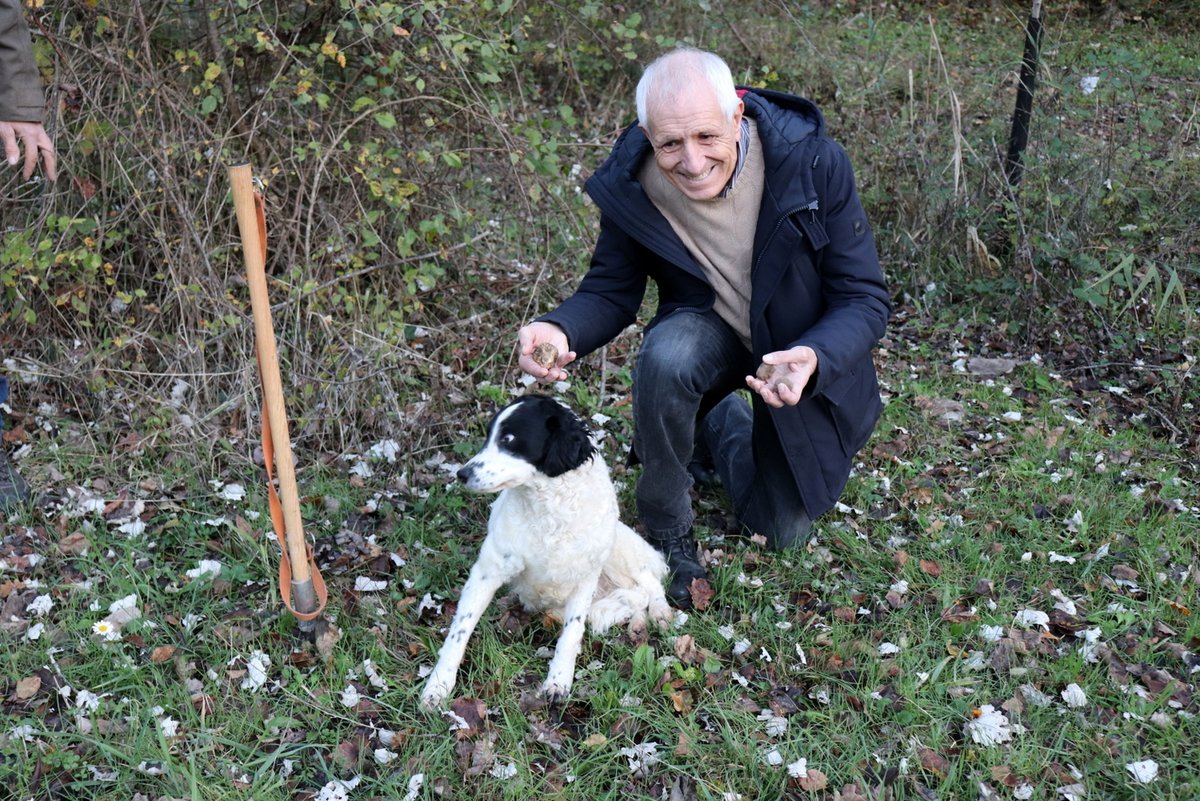 robertoippolito's tweet photo. Ambasciatore del tartufo di San Miniato nel mondo
Proclamato per impegno “elevato interesse civile etico letterario” “da anni alla Mostra tartufo in qualità di scrittore” teso “a portare la cultura tra la gente”, “sempre alla ricerca ostinata della verità”
https://t.co/5KRyROrolN https://t.co/WYS7m9fkdd