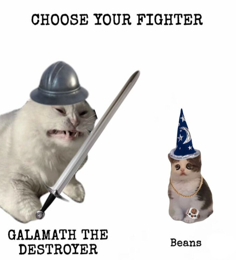 WholesomeMemes tweet media