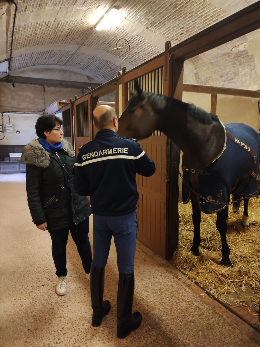 Gendarmerie de l'Essonne tweet media