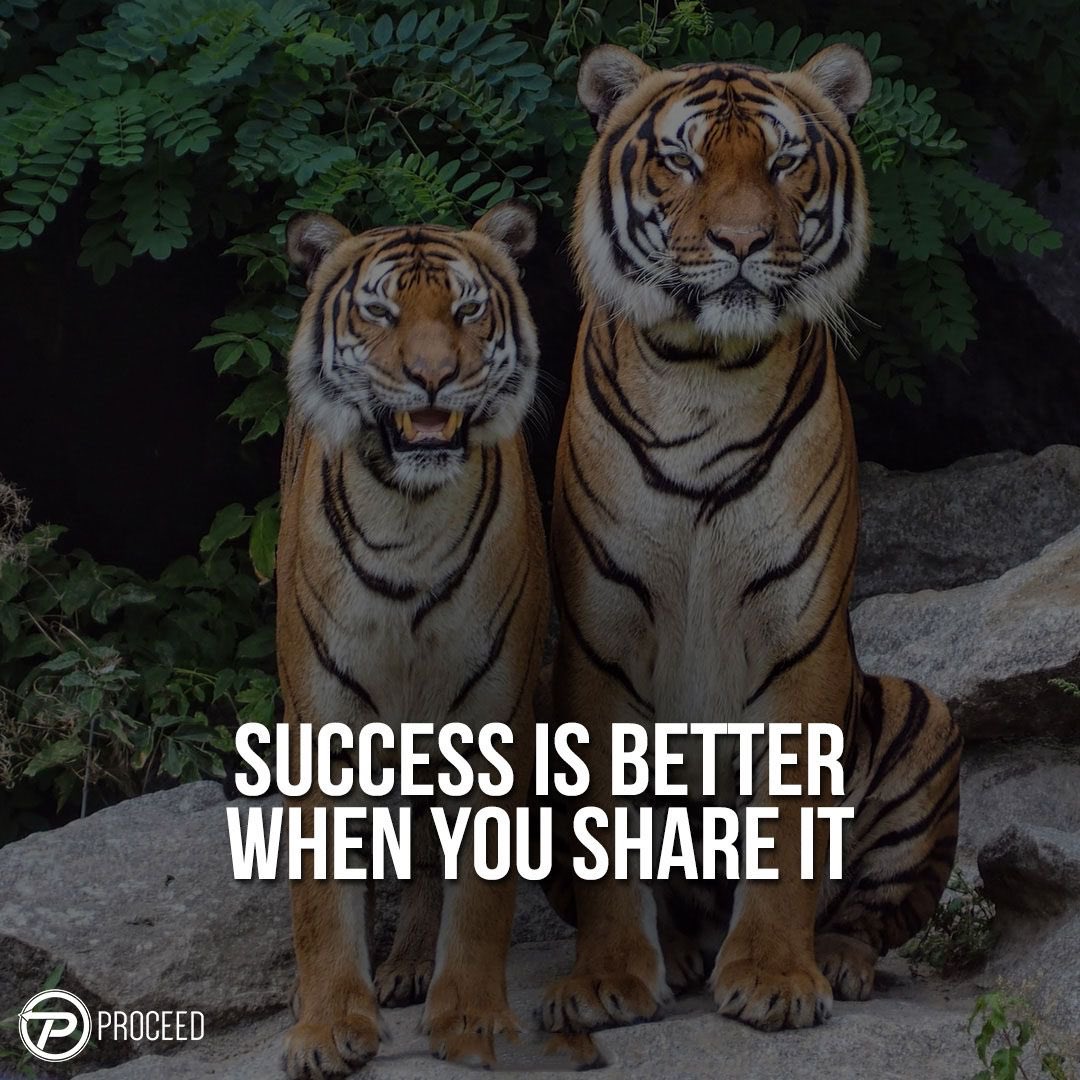 ProceedPay's tweet photo. Success truly shines when shared. At Proceed Pay, we believe in celebrating collective achievements. Sharing success fosters teamwork, gratitude, and inspires others. #ProceedPay #SharedSuccess #TeamworkMatters #InspirationalAchievements #SuccessTogether https://t.co/aVesWY0iNK