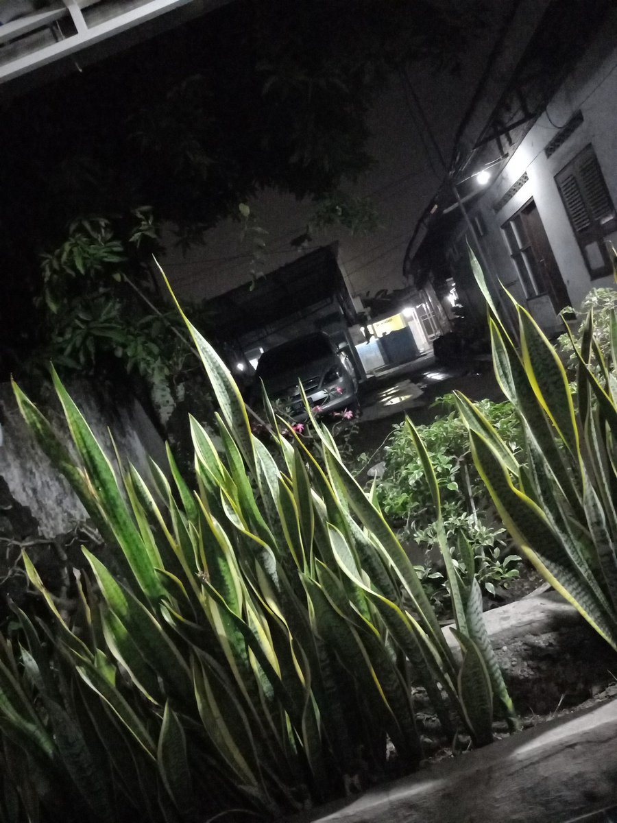 Bengong depan rumah selalu bikin tenang ~
