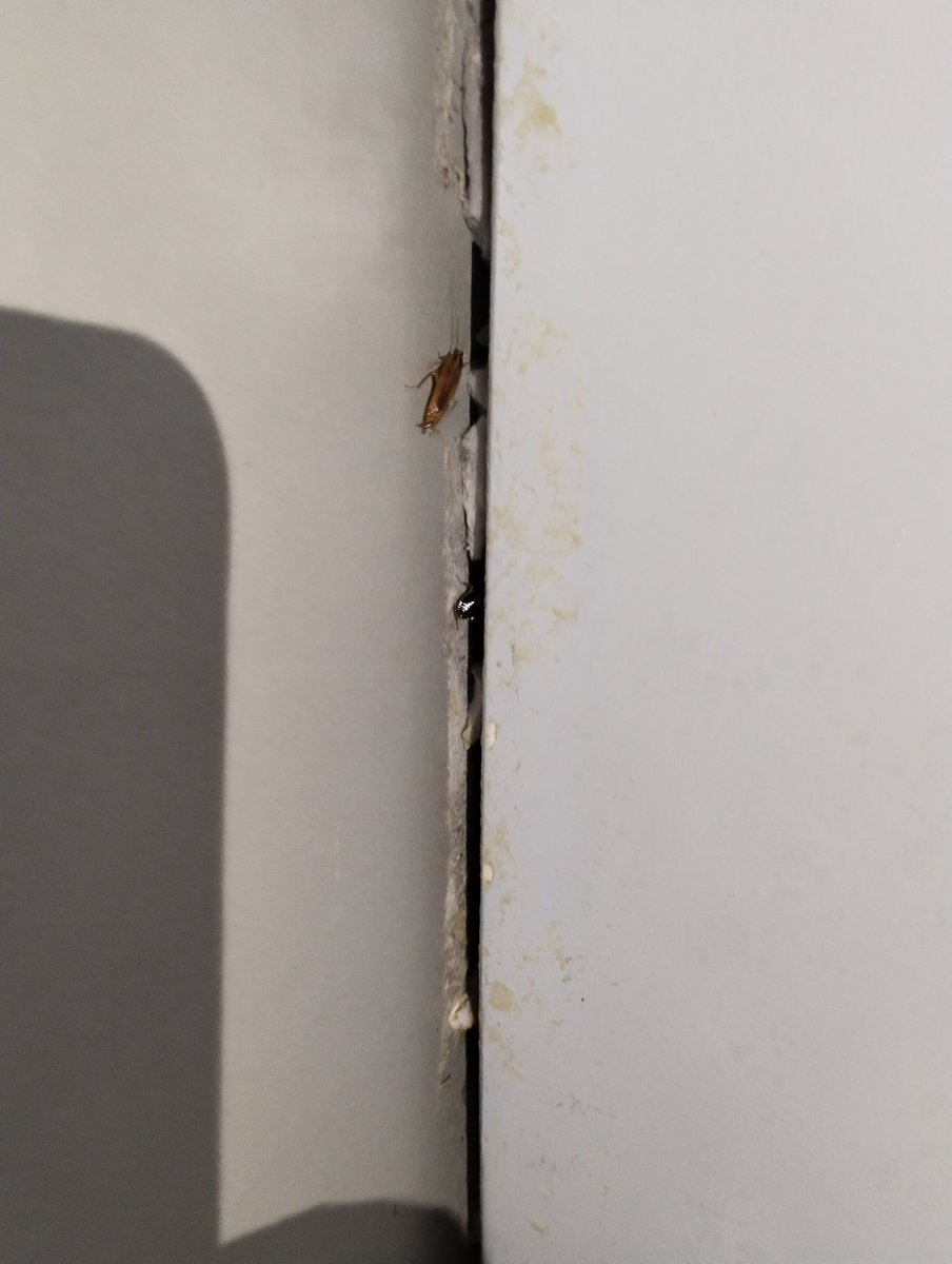 SHALENDRA KHANDELWAL tweet media