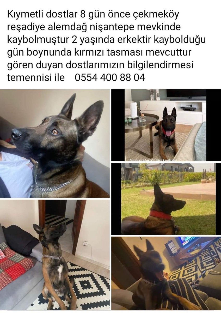 Haykodep (@haykodep) on Twitter photo 