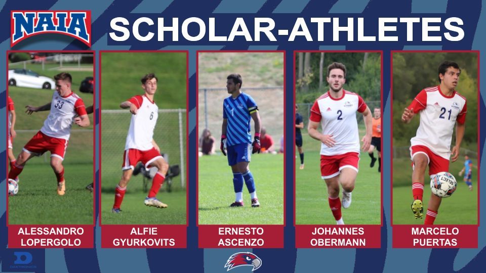 ViterboSoccer's tweet photo. Congratulations to our NAIA Daktronics Scholar-Athletes! 

#FlyTogether #VHawkNation https://t.co/10EbzHsqWn