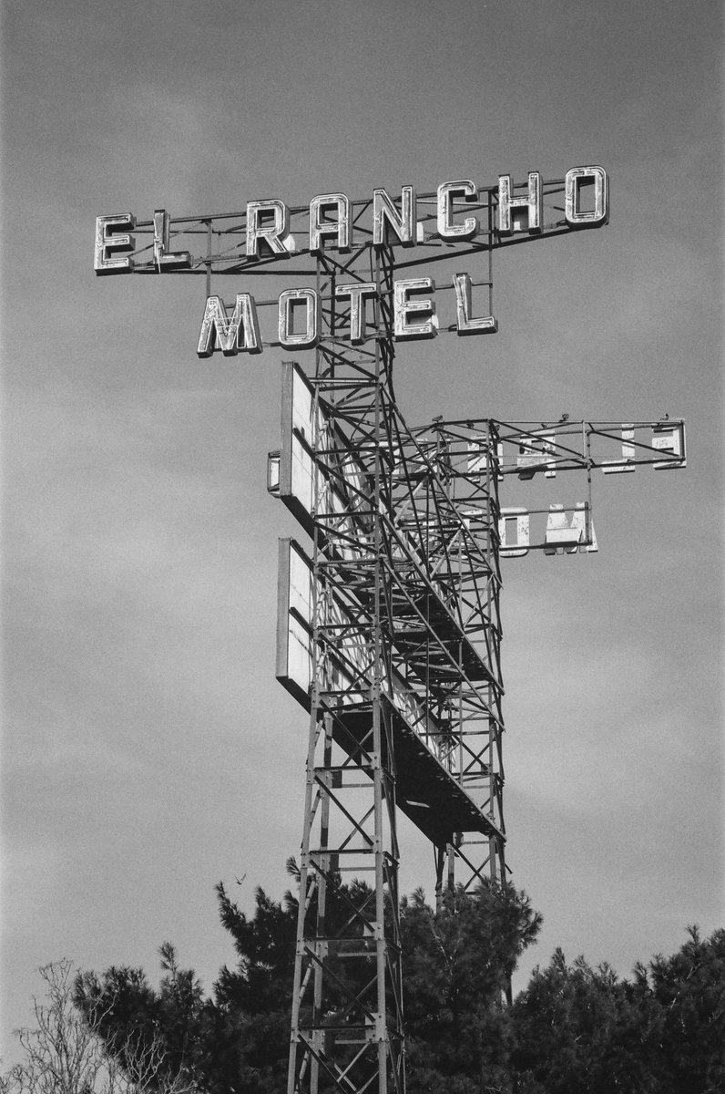 thinktk's tweet image. Monochrome Monday – Heckle and Jeckle hanging out near the El Rancho Motel on Route 66 in Barstow, CA. Feb, 2022. Sadly, most of the motel was burned down in a suspicious 3 alarm fire on July 5, 2022. 

CineStill BWXX, shot at 200iso. #BelieveInFilm