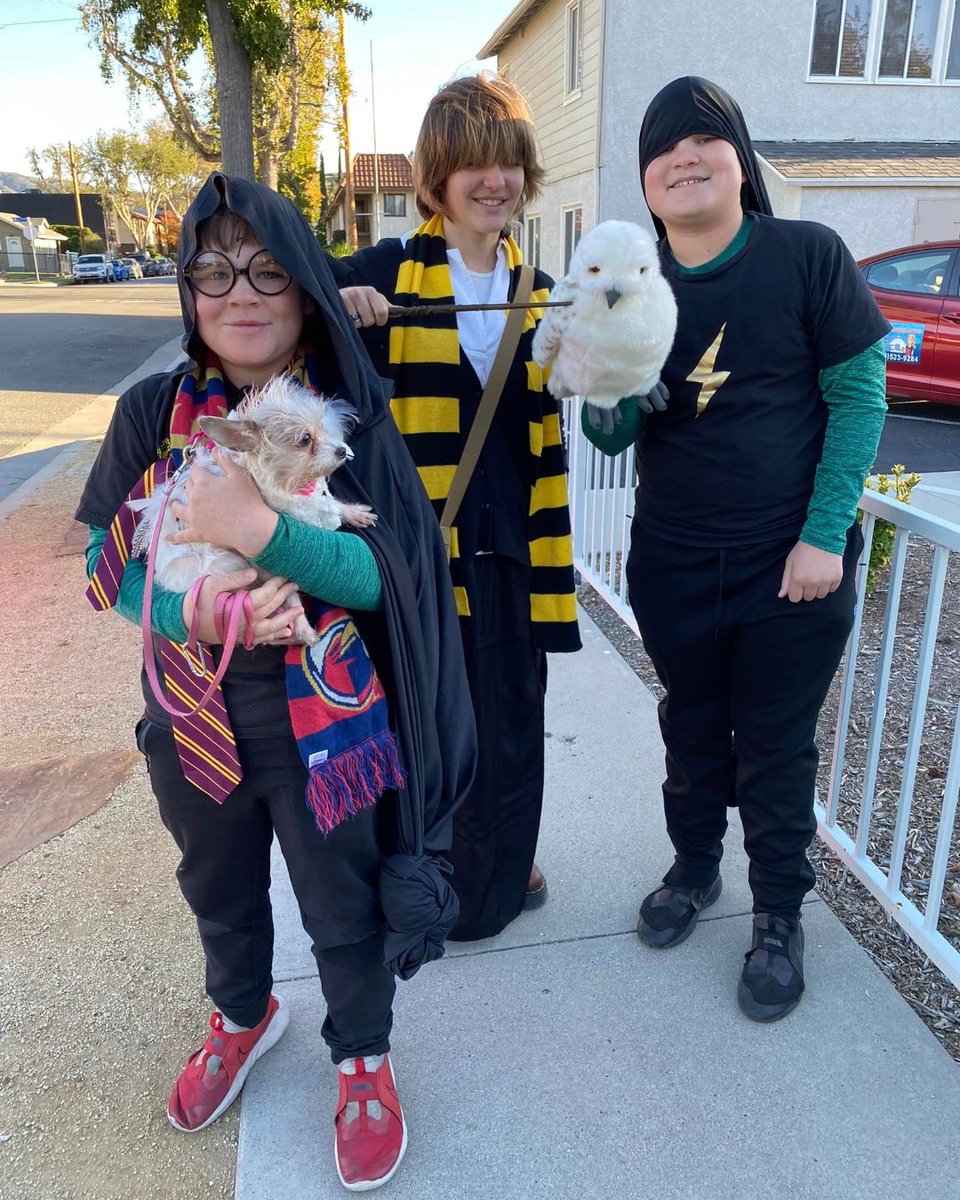 CluedUppHQ's tweet photo. Outdoor magical mystery = completed! ✅

From the array of cosplay costumes, team positions on the leaderboard to making memories, you came out in your thousands and solved the mystery. 

If not, the time is now (use CYBE60 for 60% off!) https://t.co/phMMhiBZPr https://t.co/PtePUNToxc