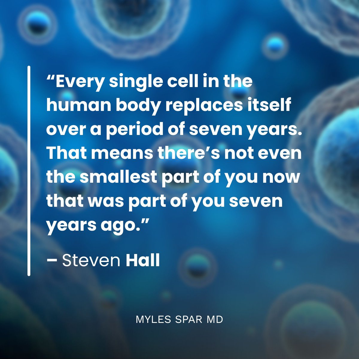 “Every single cell in the human body replaces itself over a period of seven years. That means there’s not even the smallest part of you now that was part of you seven years ago.” ―Steven Hall

It’s never too late to make lifestyle changes that can impact your whole being.