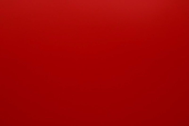 Cαℓeb tweet media