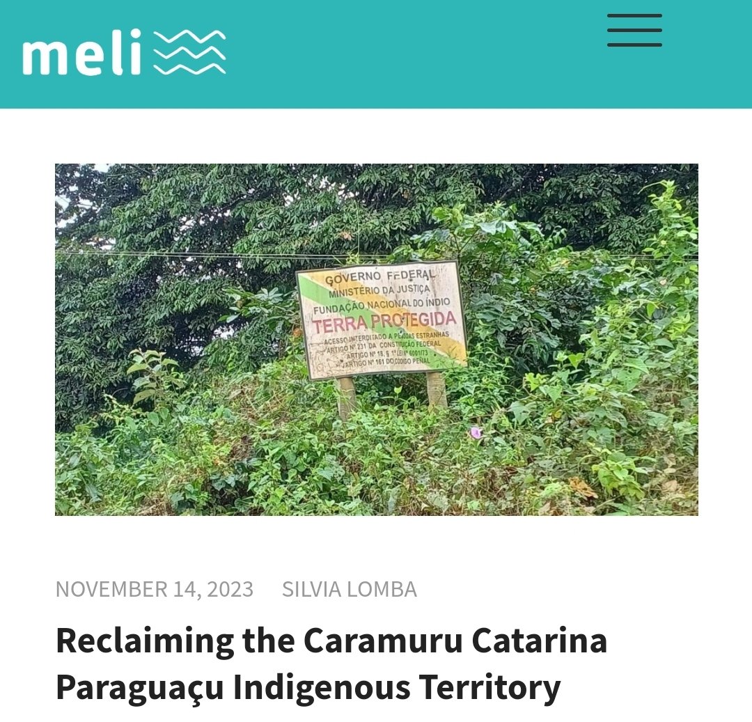 In July, Sílvia and Ana Paula got the chance to visit the Caramuru-Paraguaçu Indigenous Land and learned a lot about their history.
Read now a little about the reclaiming of Caramuru-Paraguaçu 
meli-bees.org/reclaiming-the…
