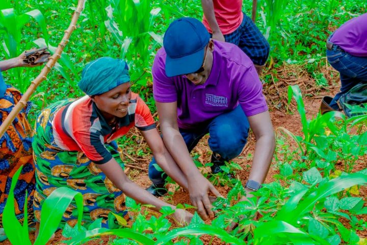 MarshalPapworth's tweet photo. In #Rwanda Valens is using #agroforestry skills gained on our sustainable agriculture course at @HarperAdamsUni this summer to help his team at @RippleEffectNGO to plant 45,000 tree seedlings in their latest tree planting campaign 🌳 Amazing! #trees #treesaplings #saplings https://t.co/5hIwpfGWKR