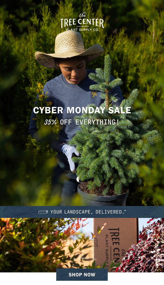 Cyber Monday starts right now! 🖥️For today only, take 35% OFF every single tree, shrub, plant, and perennial we sell. All you've got to do is enter the code BLACK35 in your cart to apply the savings! thetreecenter.com #CyberMonday