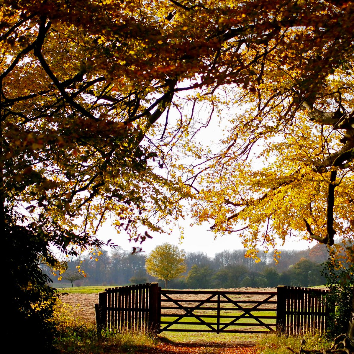 implausibleblog's tweet image. Watching Sadiq Khan&apos;s and Andy Burnham&apos;s evidence to the Covid Inquiry today has been really tough. I just can&apos;t believe that Johsnon, Sunak and Hancock behaved the way they did and there were no safeguards in our democracy to protect us all from their foolishness, corruption and…