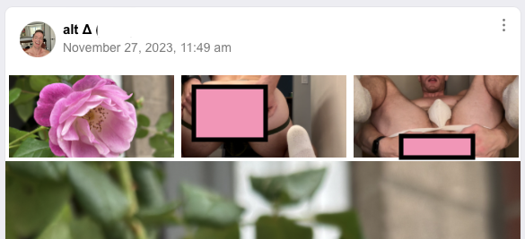 1 pic. I'm getting sick of @OnlyFans' censorship. I did not violate T.O.S., and yet another post was