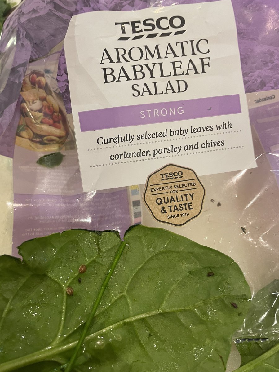 markstarkey12's tweet photo. #tesco babyleaf salad - washed and ready to use it says on the package - totally infected with bugs is the reality- had to throw the whole bag away - don’t believe the packaging 😬 https://t.co/2vIg6EbTSS