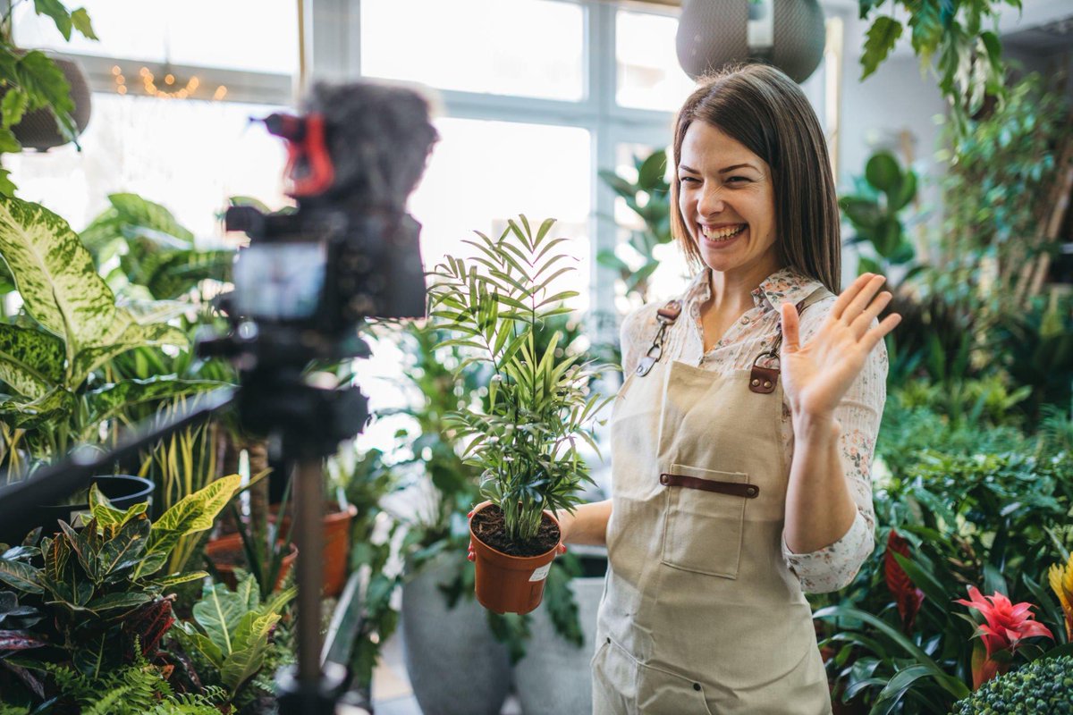 NutriGrowSol's tweet photo. ๐ฟ Exciting News! ๐ฟLove plants and enjoy sharing your green thumb tips online?๐ฟJoin the TOP PLANTFOOD Influencer Program! ๐
Apply now to showcase our premium fertilizers, unlock exclusive perks, and grow together!๐ผ
https://t.co/1MUKXiscTN
#TOPPlantfood #InfluencerProgram https://t.co/wqVzintiX2