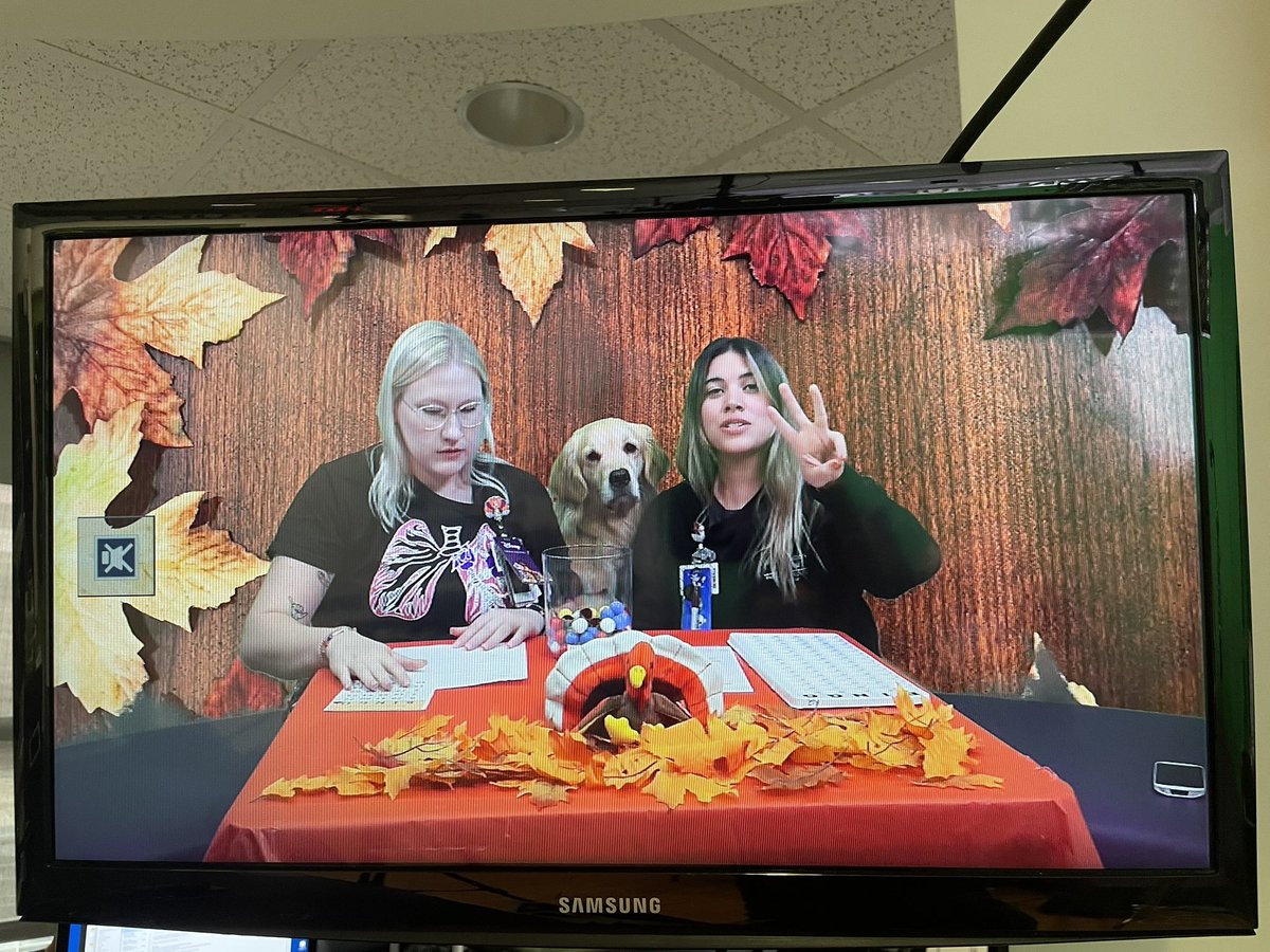 We are thankful for Thanksgiving Bingo on ZTV!