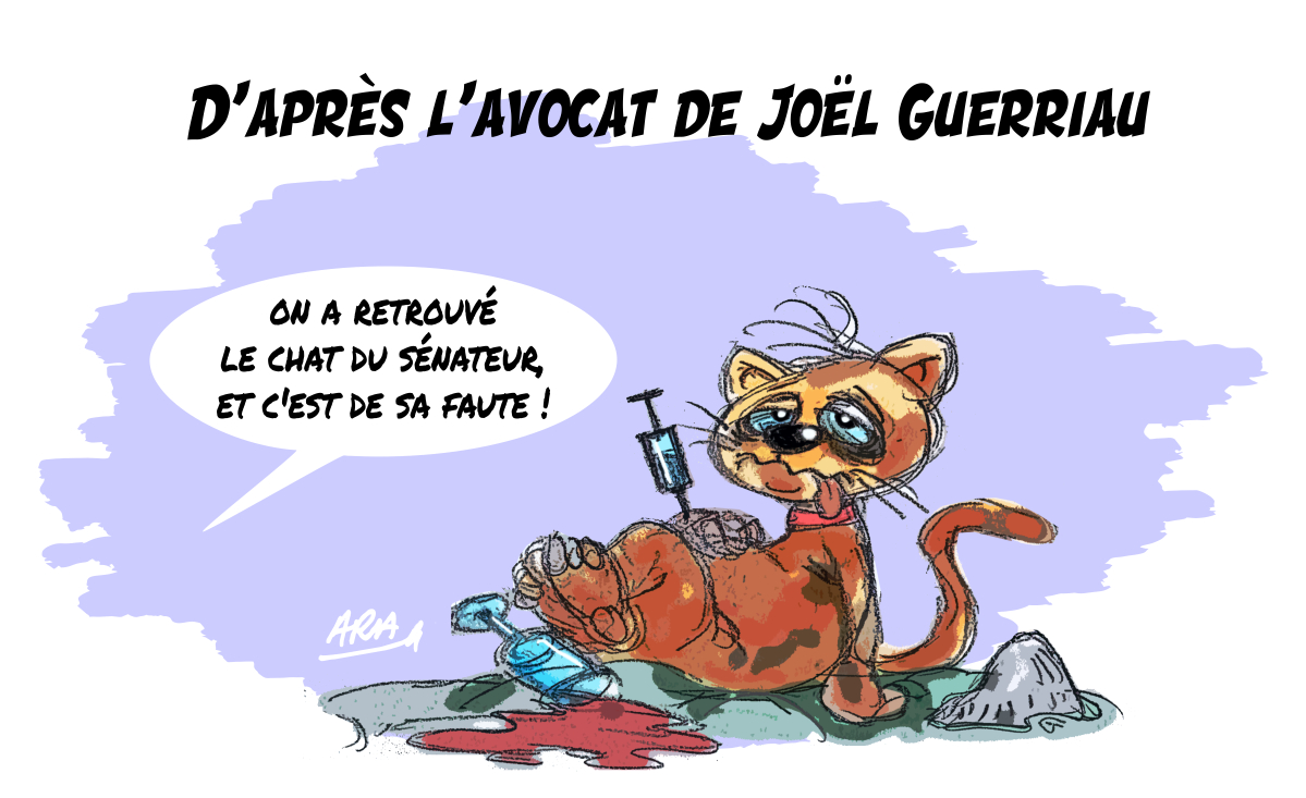 ara_dessins's tweet photo. #JoëlGuerriau https://t.co/Iw7msg0IpE