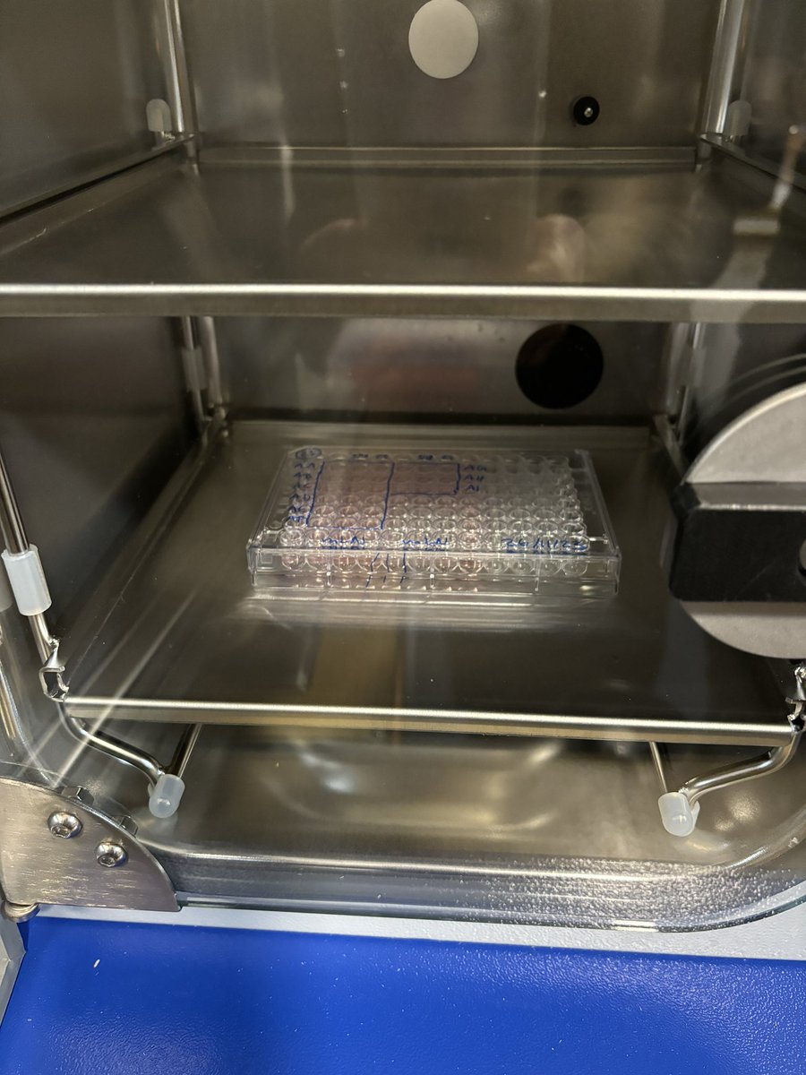 Highlights from today’s work on the Isle of May <a href="/LydiaBeckerIII/">Lydia Becker Institute</a> <a href="/Mair_Iris/">Iris Mair</a> <a href="/RowanBancroft/">Rowan Bancroft</a>