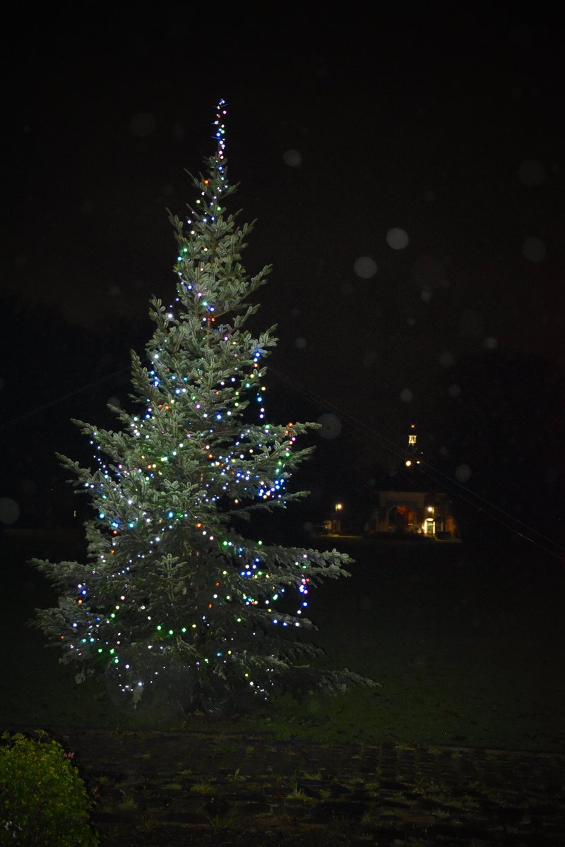 [#decoration  #fetesdefindannee #Noel]
🎄 La fin d'année se profile et les fêtes approchent à grand pas...c'est pourquoi l'<a href="/EpsmFlandres/">EPSM DES FLANDRES - GHT Psy NPdC</a> participe à ces futurs moments festifs et le premier acte est l'installation du sapin de Noël sur le site de Bailleul..🌲