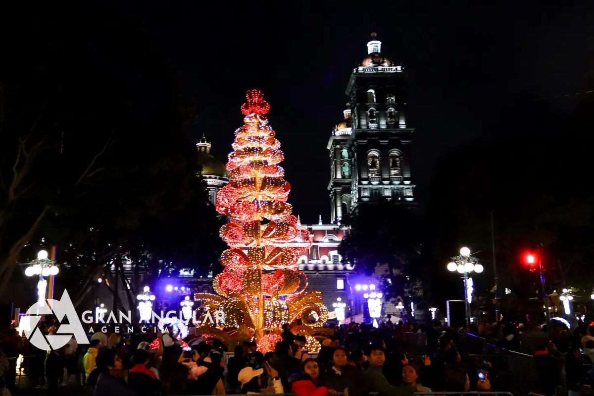 AngularAgencia's tweet photo. 🎄🦌⛄ #EnFotos •• 🎄🦌⛄ #EnFotos •• Llega la magia de la #Navidad a #Puebla  con el encendido de árbol navideño en el #zocalo capitalino, podrás disfrutar de un paseo con la familia o amigos entre las calles iluminadas.

Via @Veck_Arenas https://t.co/gEgsQOsoFI