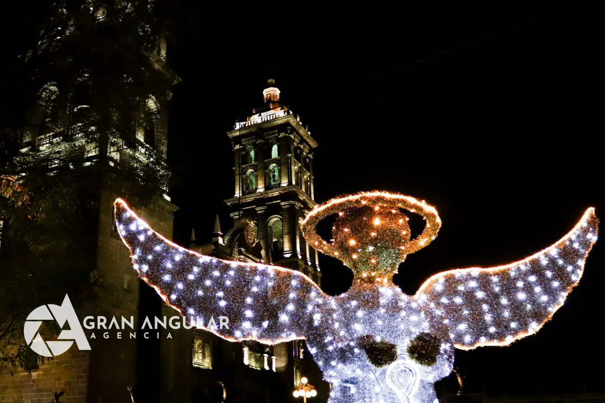 AngularAgencia's tweet photo. 🎄🦌⛄ #EnFotos •• 🎄🦌⛄ #EnFotos •• Llega la magia de la #Navidad a #Puebla  con el encendido de árbol navideño en el #zocalo capitalino, podrás disfrutar de un paseo con la familia o amigos entre las calles iluminadas.

Via @Veck_Arenas https://t.co/gEgsQOsoFI